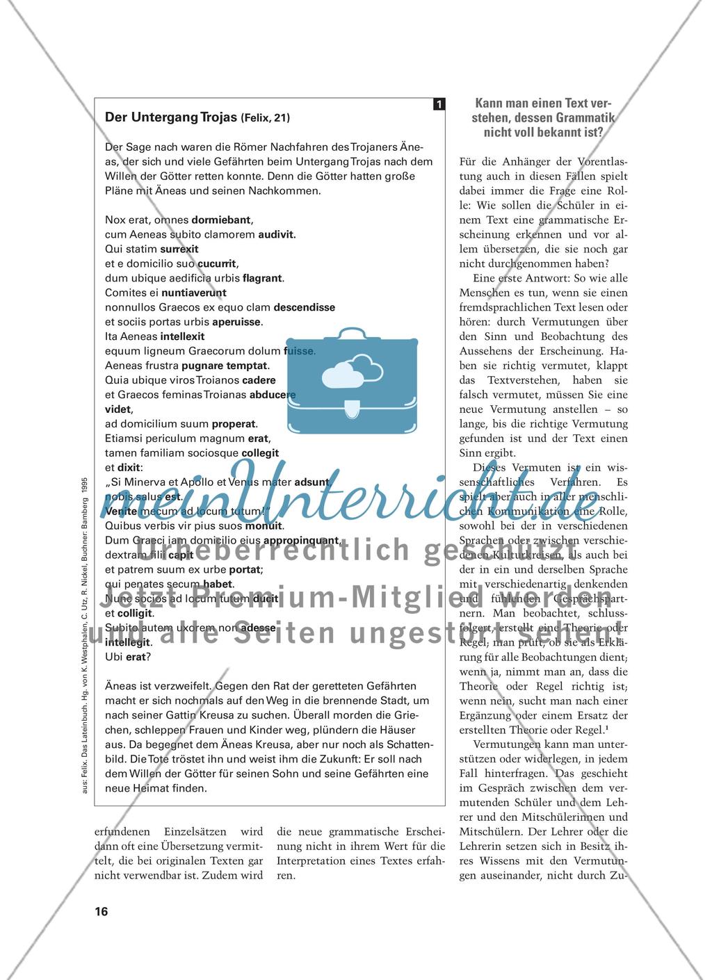 Die Verbindung von Texterschließung, Einführung eines neuen grammatischen Stoffs und Interpretation Preview 3
