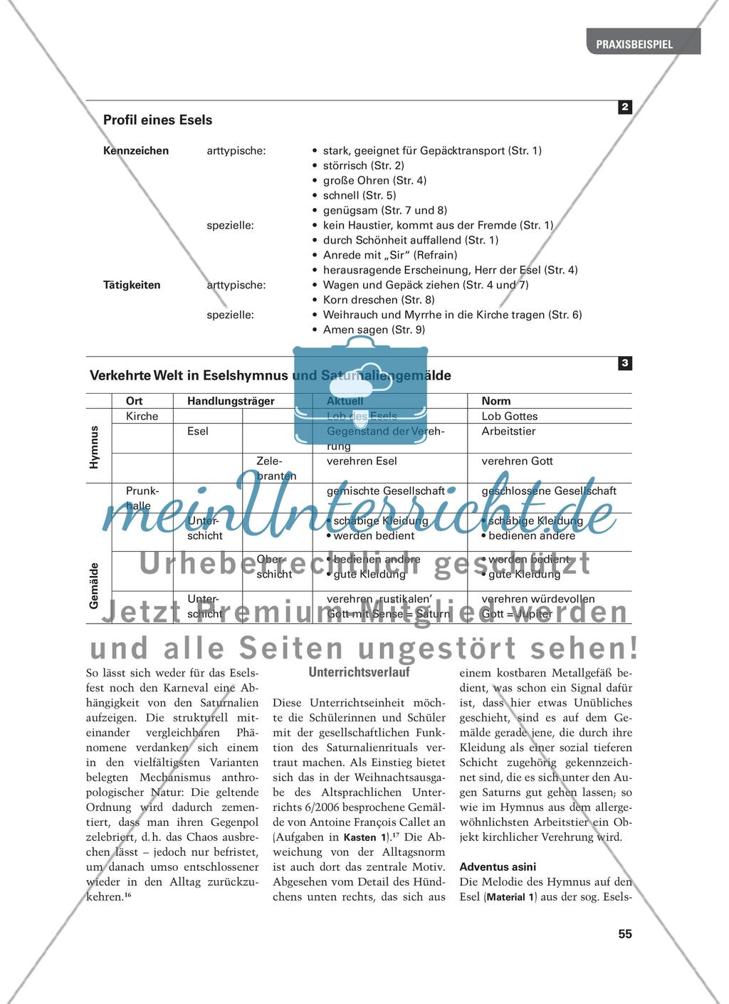 Saturnalien, Eselsfest und Karneval - Rituale zum Jahreswechsel und ihr dialektisches Verhältnis zum Alltag Preview 3