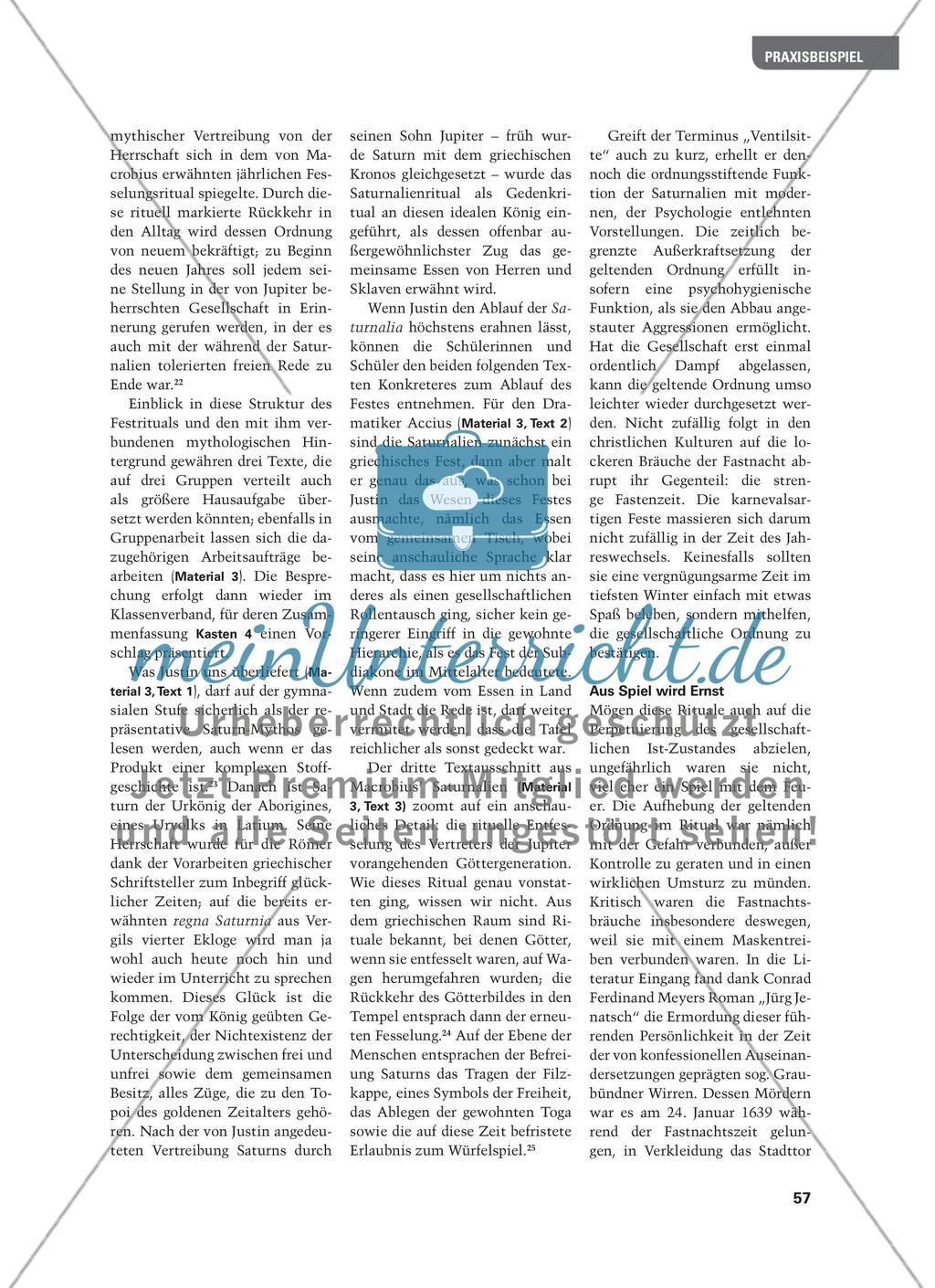 Saturnalien, Eselsfest und Karneval - Rituale zum Jahreswechsel und ihr dialektisches Verhältnis zum Alltag Preview 5