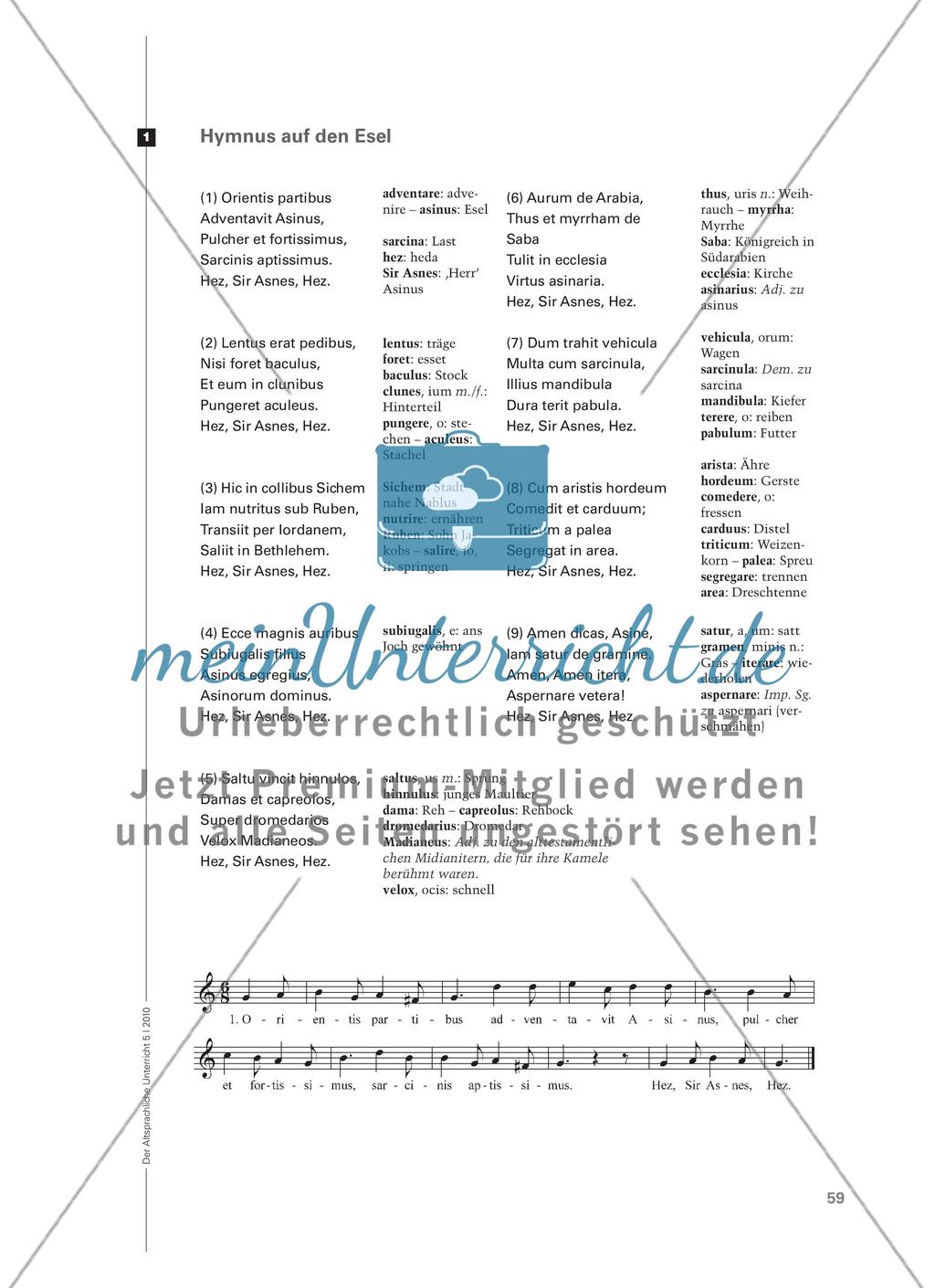 Saturnalien, Eselsfest und Karneval - Rituale zum Jahreswechsel und ihr dialektisches Verhältnis zum Alltag Preview 7