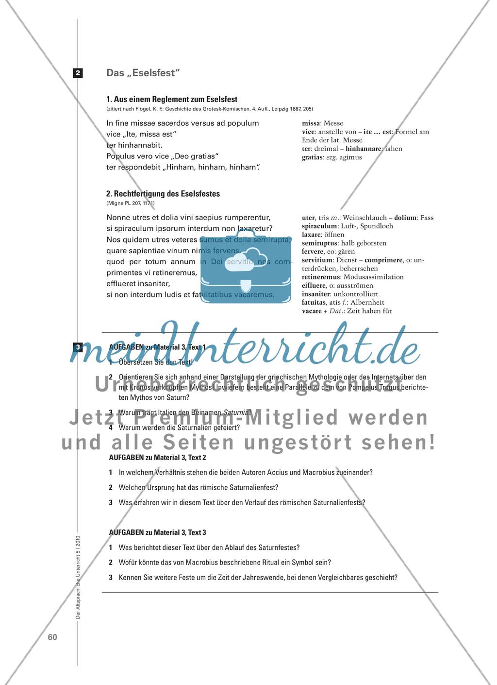 Saturnalien, Eselsfest und Karneval - Rituale zum Jahreswechsel und ihr dialektisches Verhältnis zum Alltag Preview 8