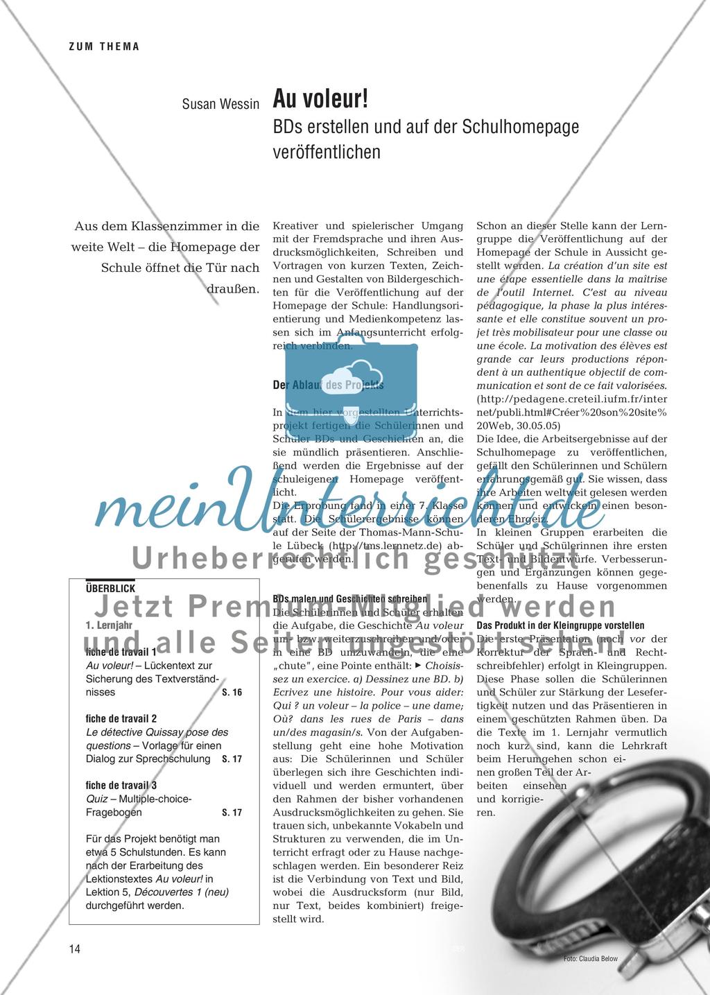 Au voleur! - BDs erstellen und auf der Schulhomepage veröffentlichen Preview 1
