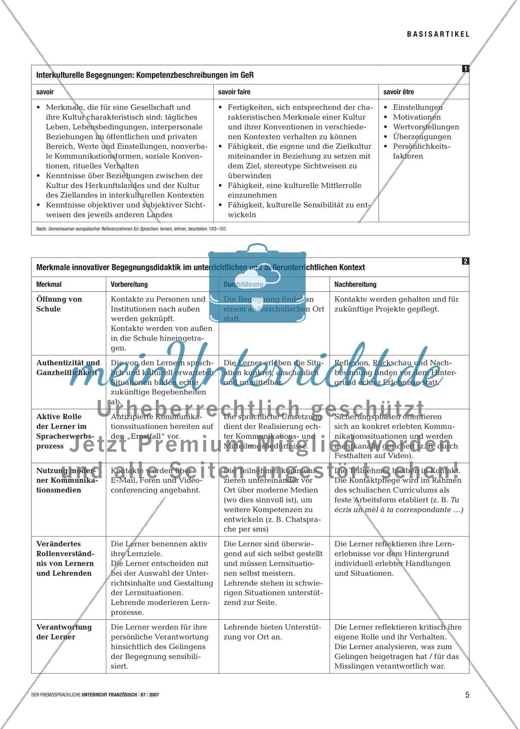 Austausch: reell – virtuell – interkulturell Preview 4