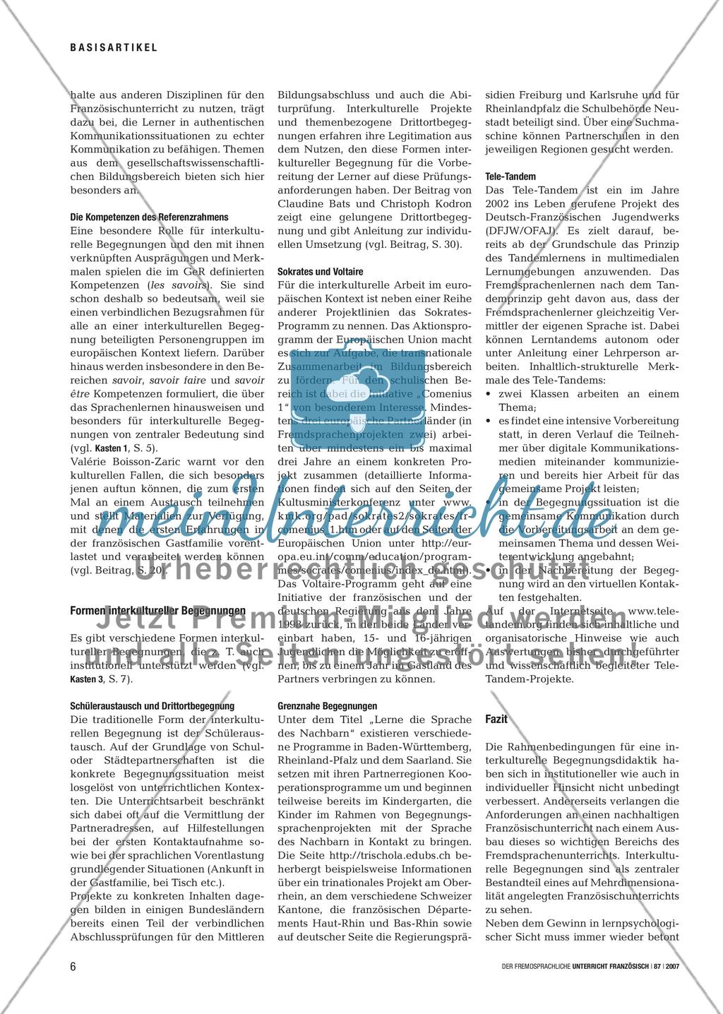 Austausch: reell – virtuell – interkulturell Preview 5