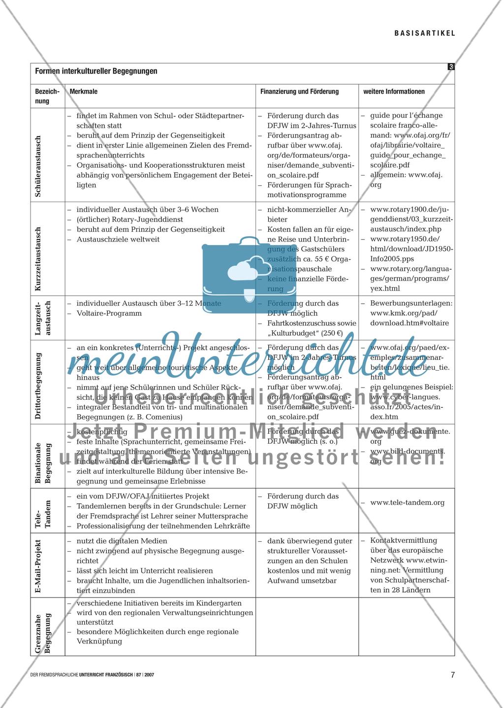Austausch: reell – virtuell – interkulturell Preview 6