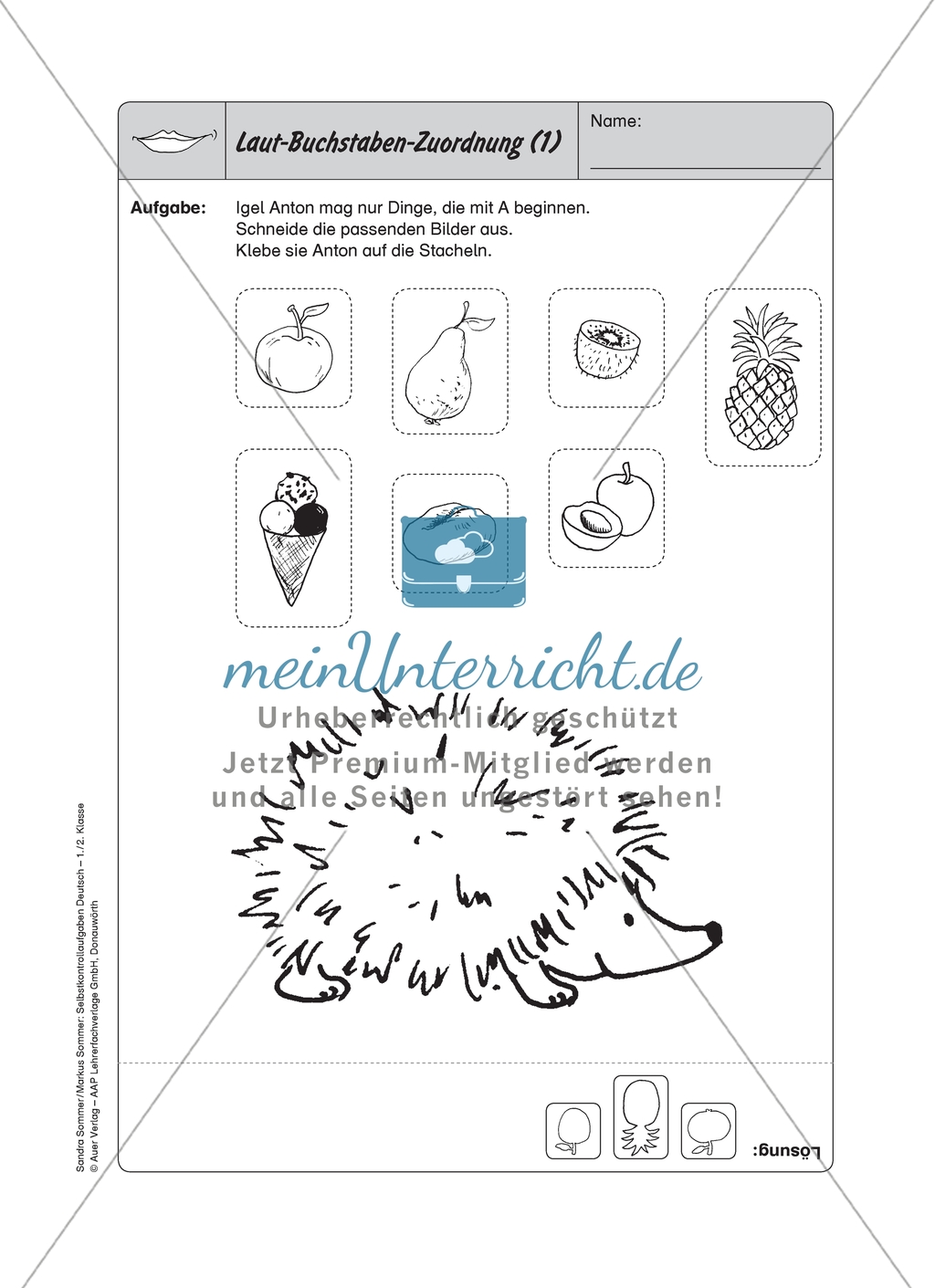 Laut-Buchstaben-Zuordnung: Selbstkontrollaufgaben Preview 1
