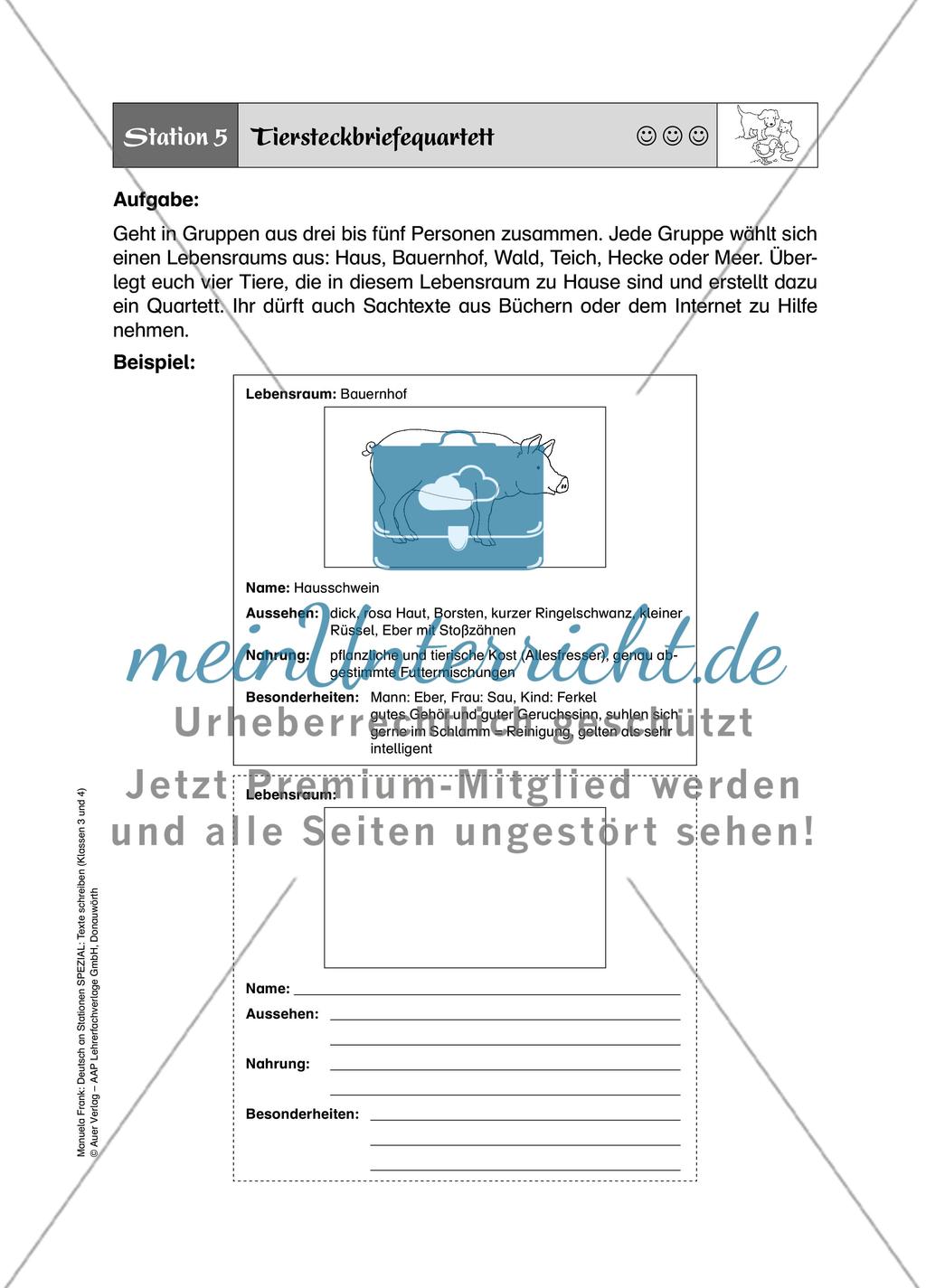 Deutsch an Stationen: SPEZIAL Texte schreiben 3-4 Preview 12