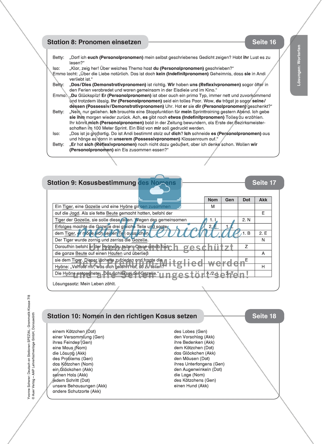 Pronomen einsetzen: Arbeitsmaterial mit Lösungen Preview 2