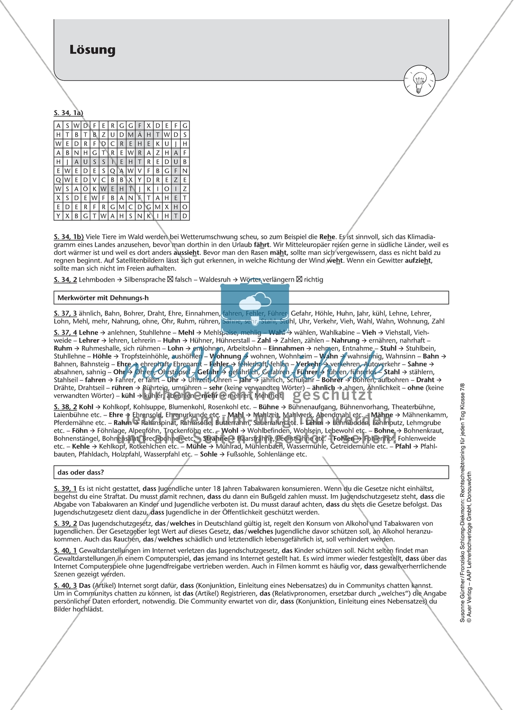 Das oder dass? Arbeitsmaterial mit Lösungen Preview 5