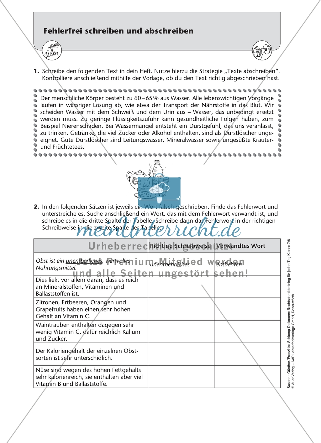 Fehlerfrei schreiben und abschreiben: Arbeitsmaterial mit Lösungen Preview 3