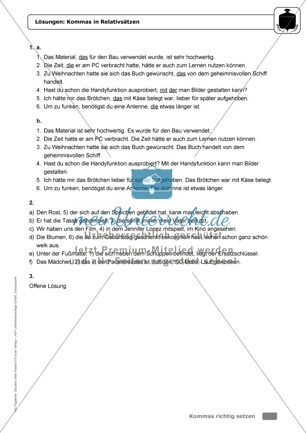 Kommas in Relativsätzen: Einführung mit Übungen und Lösungen Preview 5