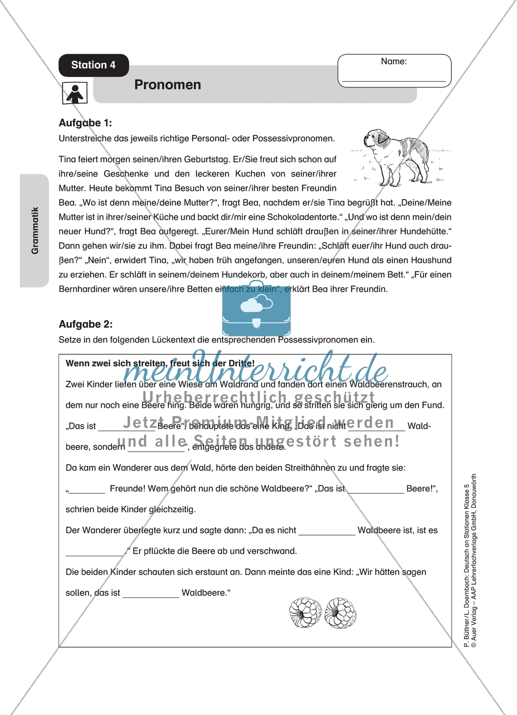 Wortarten: Pronomen. Arbeitsmaterial mit Lösungen Preview 1