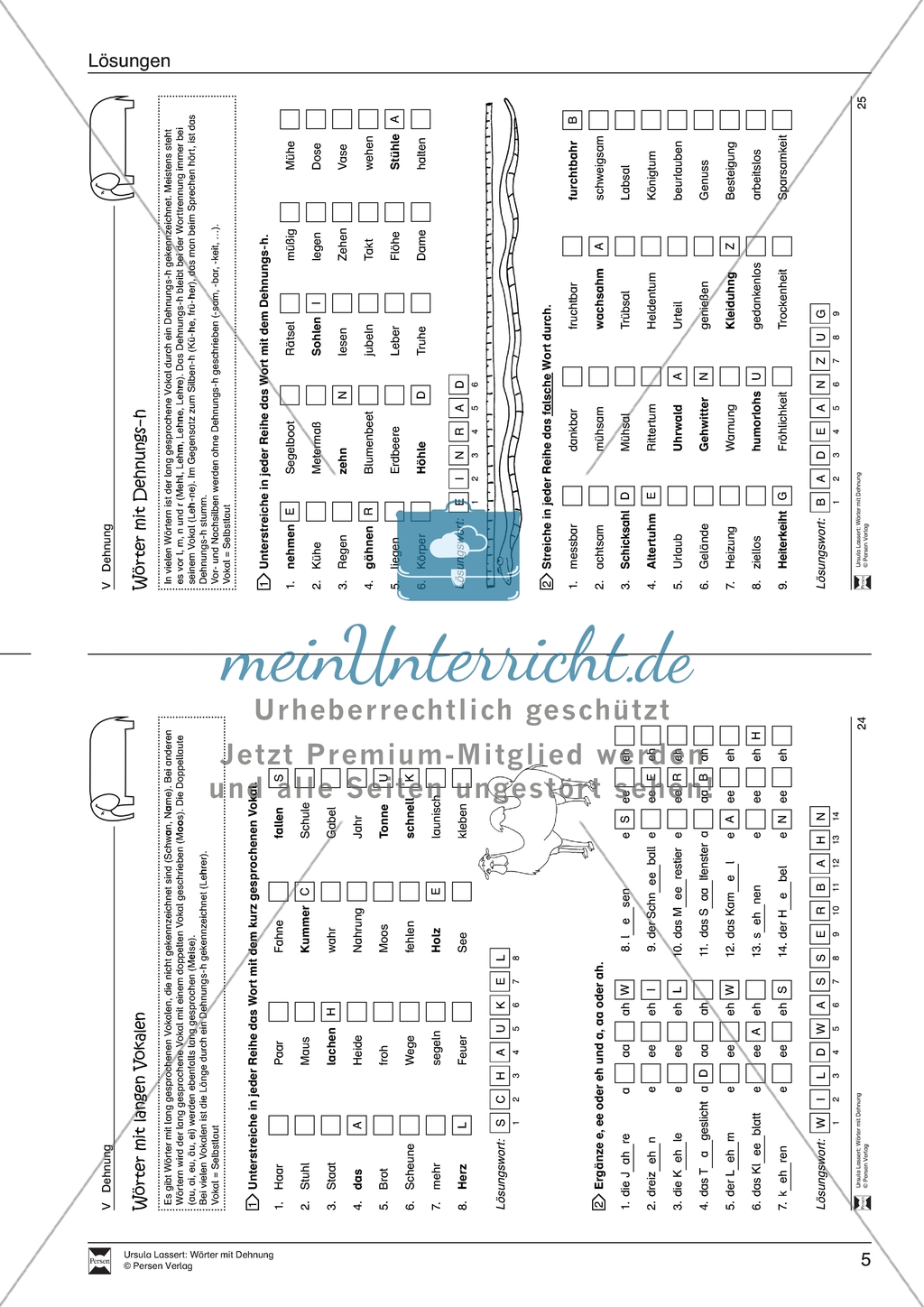 Dehnung: Wörter mit langen Vokalen und Doppelvokalen. Arbeitsmaterial mit Lösungen Preview 4
