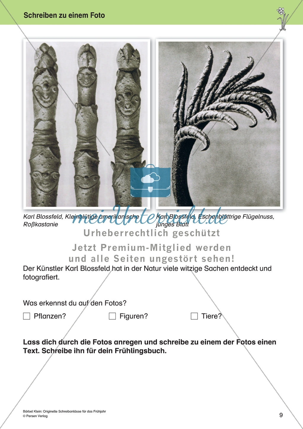 Orginielle Schreibanlässe für das Frühjahr: Materialien für das Planen und Schreiben Preview 9