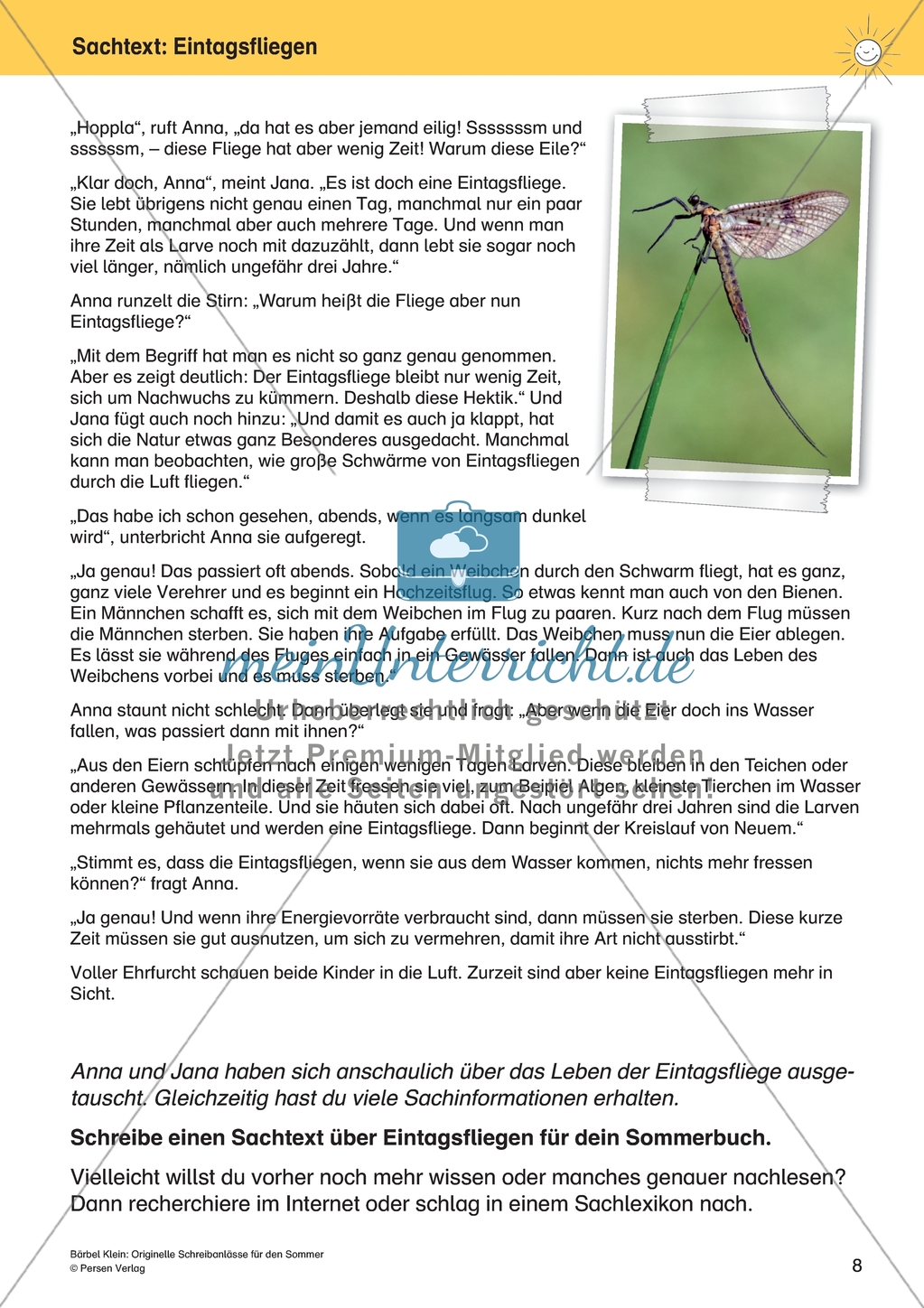 Originelle Schreibanlässe für den Sommer: Materialien für das Planen und Schreiben von Texten Preview 8