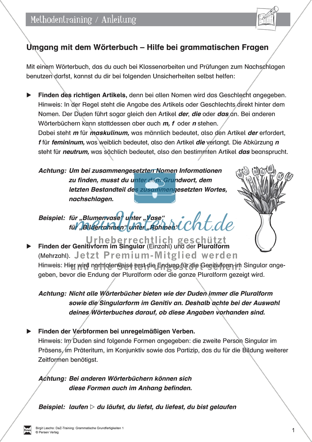 DaZ-Training: Umgang mit dem Wörterbuch - Hilfe bei grammatischen Fragen. Arbeitsmaterial mit Lösungen Preview 1