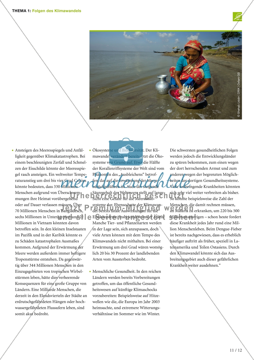 Folgen des Klimawandels: Arbeitsmaterial Preview 4