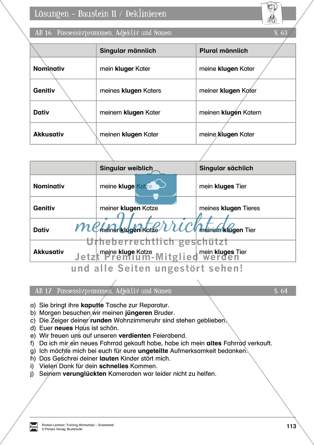 Grammatische Grundfertigkeiten: Deklinieren - Possessivpronomen, Adjektiv und Nomen Preview 3