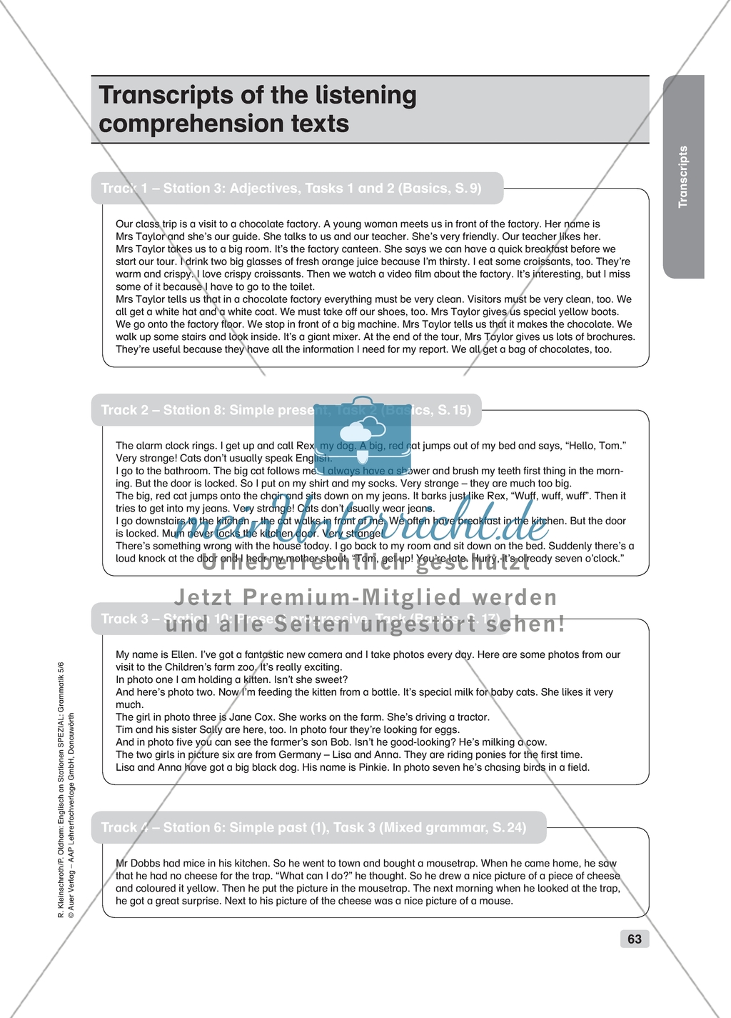 Grammar: present progressive. Worksheets and solutions Preview 3