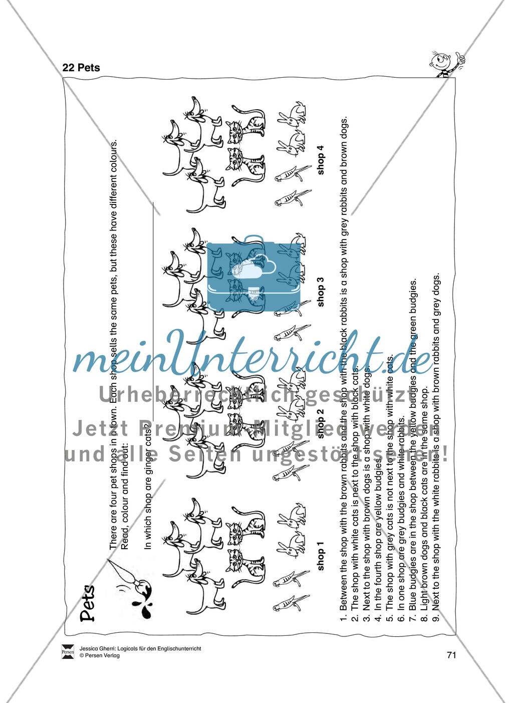 Pets Preview 1