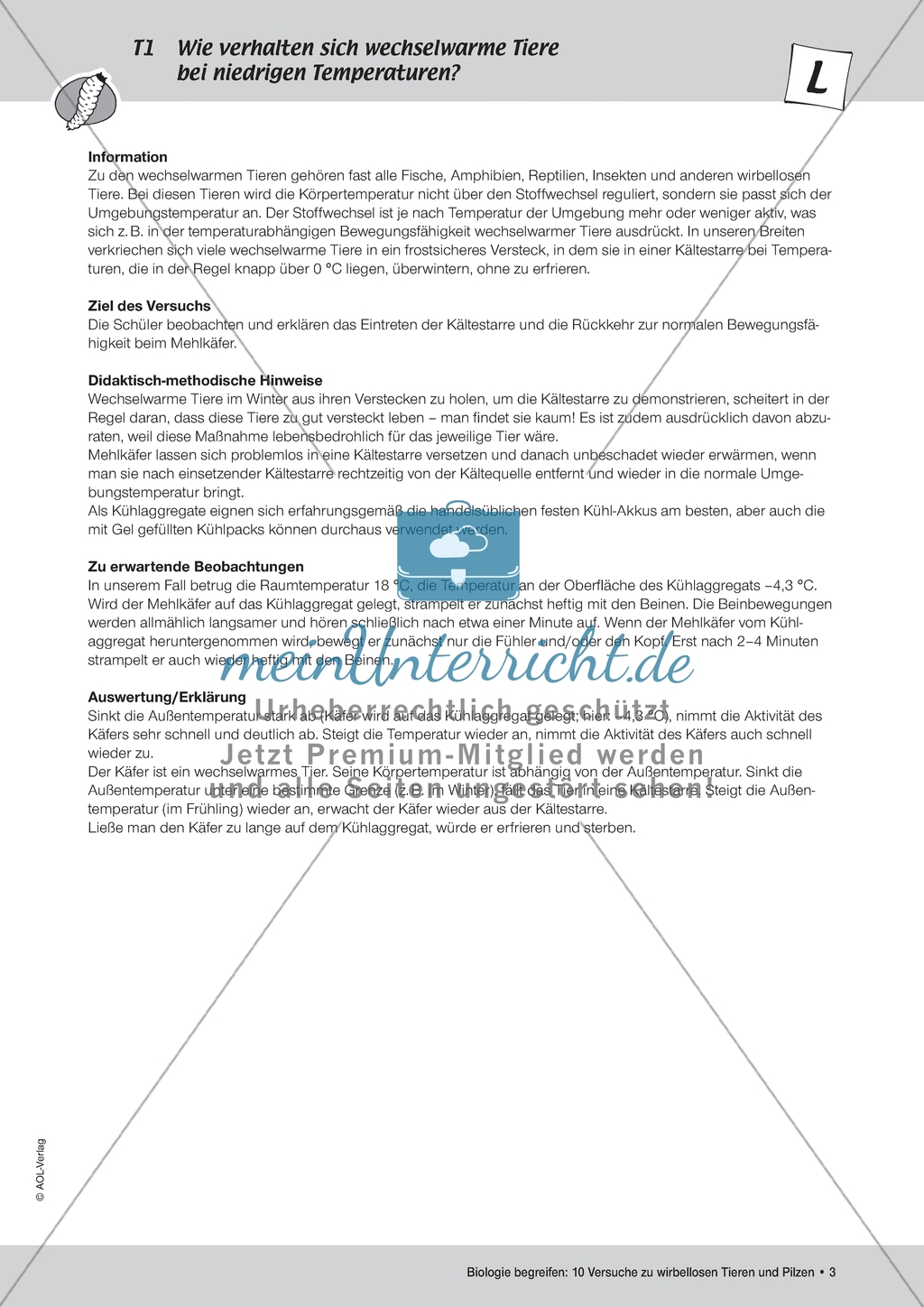 Wirbellose Tiere - Versuch zum Verhalten von wechselwarmen Tieren bei niedrigen Temperaturen Preview 1