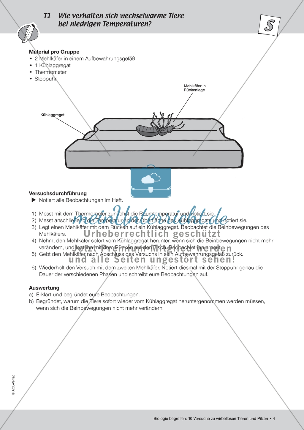 Wirbellose Tiere - Versuch zum Verhalten von wechselwarmen Tieren bei niedrigen Temperaturen Preview 2