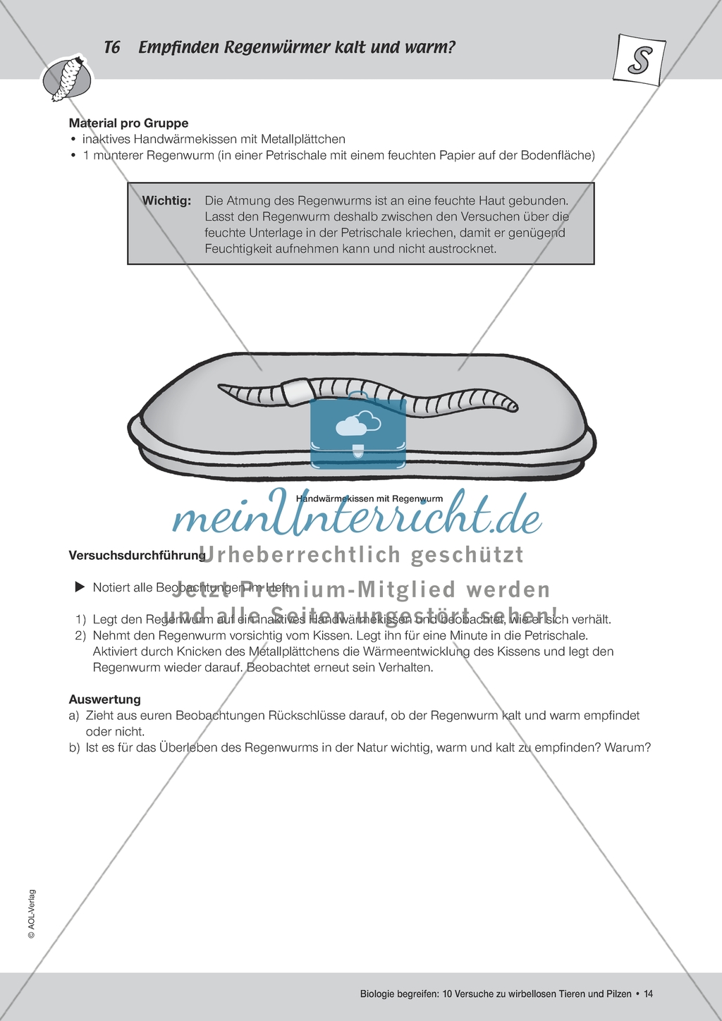 Wirbellose Tiere - Versuch zur thermischen Wahrnehmung von Regenwürmern Preview 2