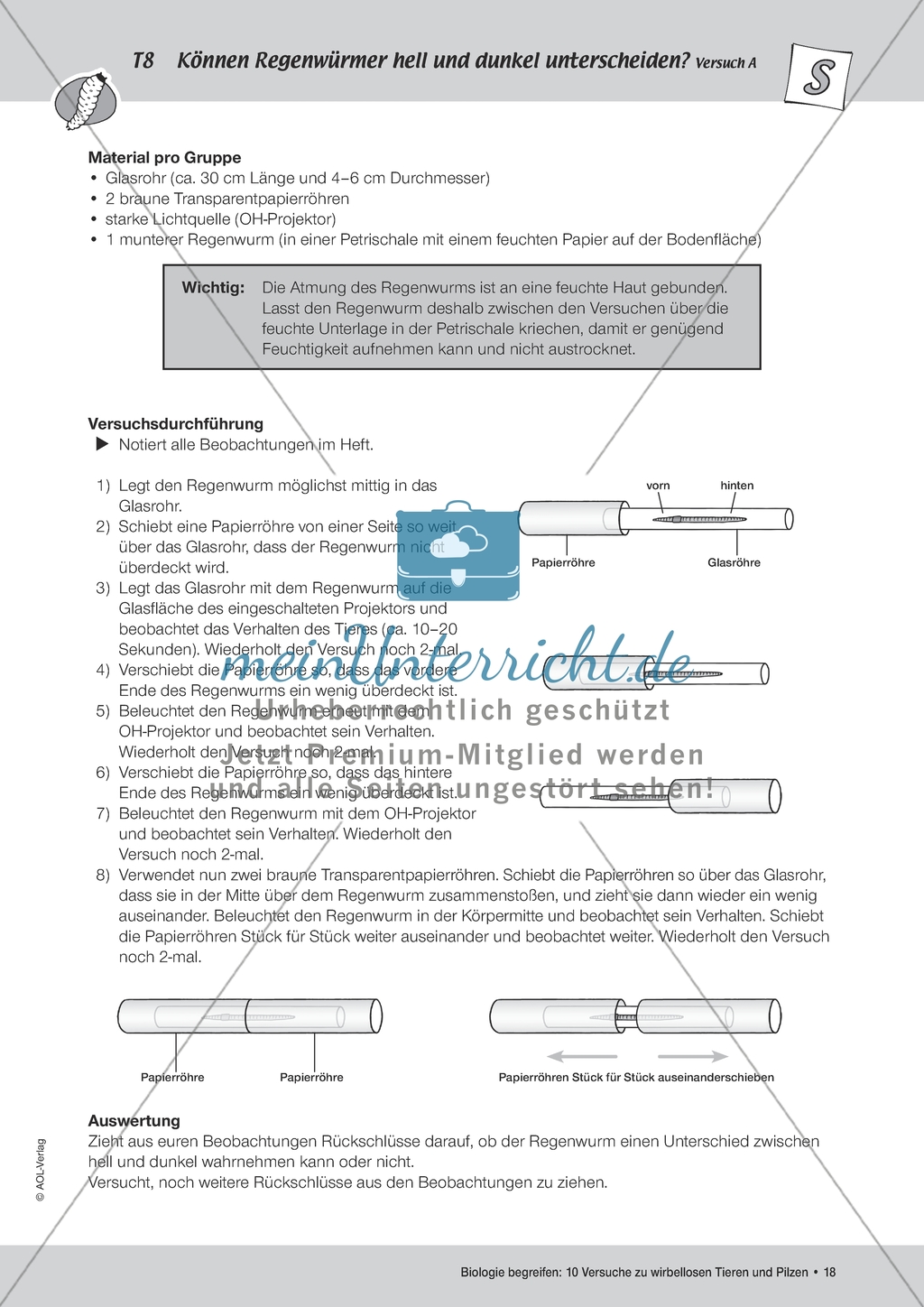 Wirbellose Tiere - Versuch zur visuellen Wahrnehmung von Regenwürmern Preview 2
