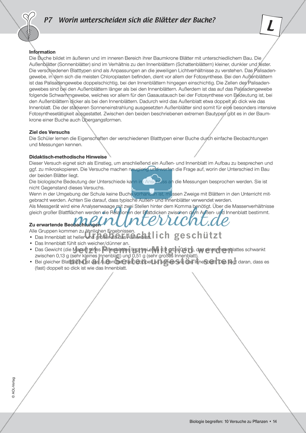Pflanzen - Versuch zur Unterscheidung der Blätter von Buchen Preview 1