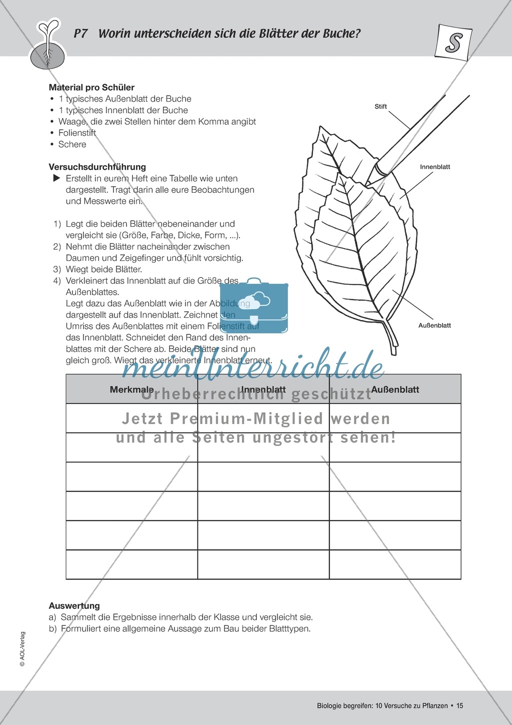 Pflanzen - Versuch zur Unterscheidung der Blätter von Buchen Preview 2