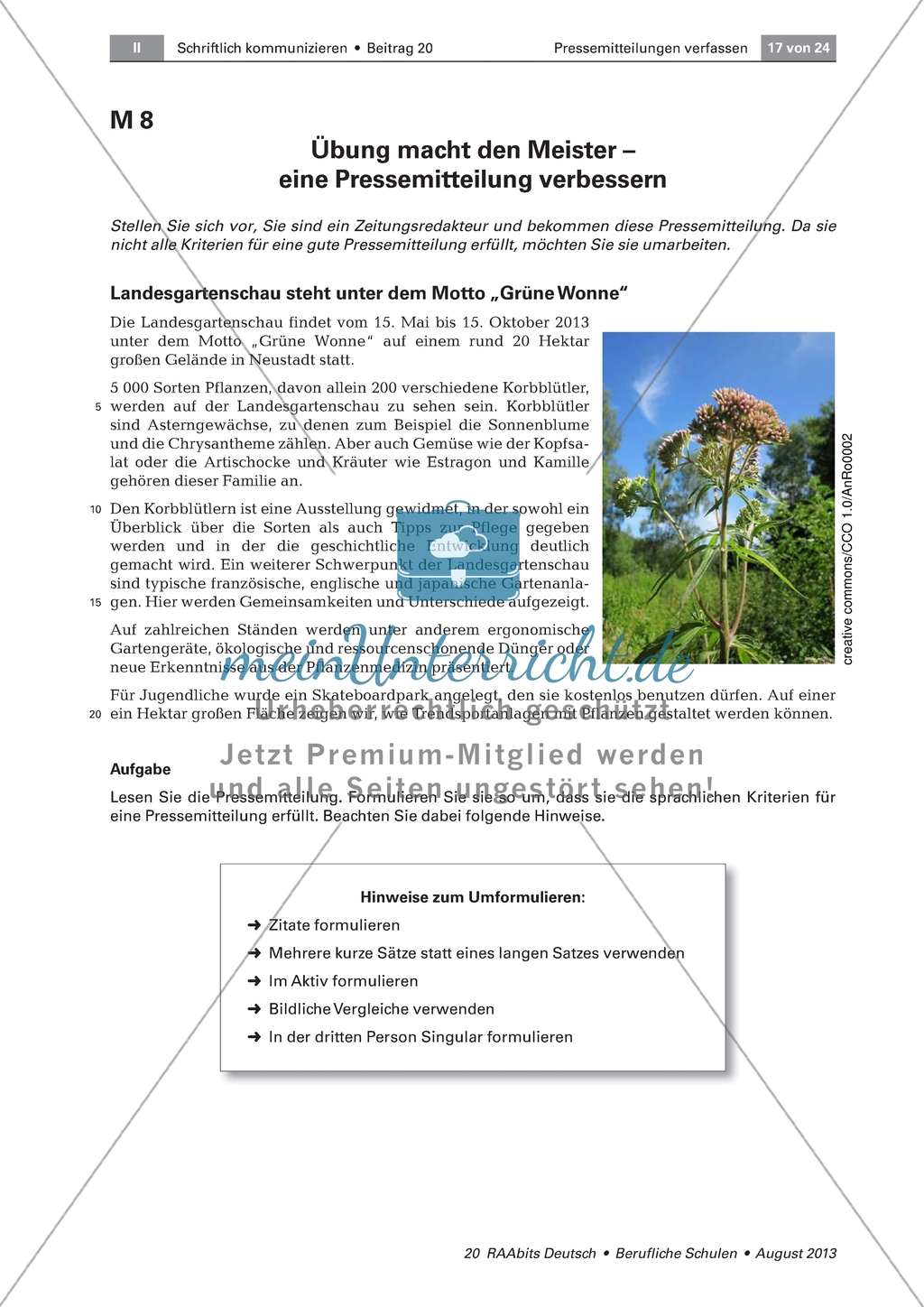 Eine Pressemitteilung verbessern anhand eines Beispieltextes mit Aufgaben Preview 1