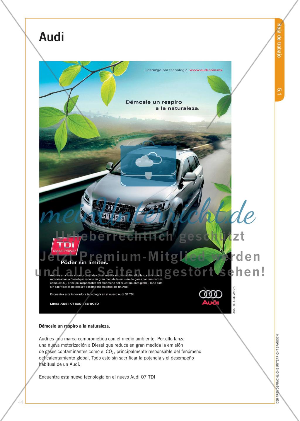 Globalisierte Werbung – nachhaltig oder hinterhältig? Preview 9