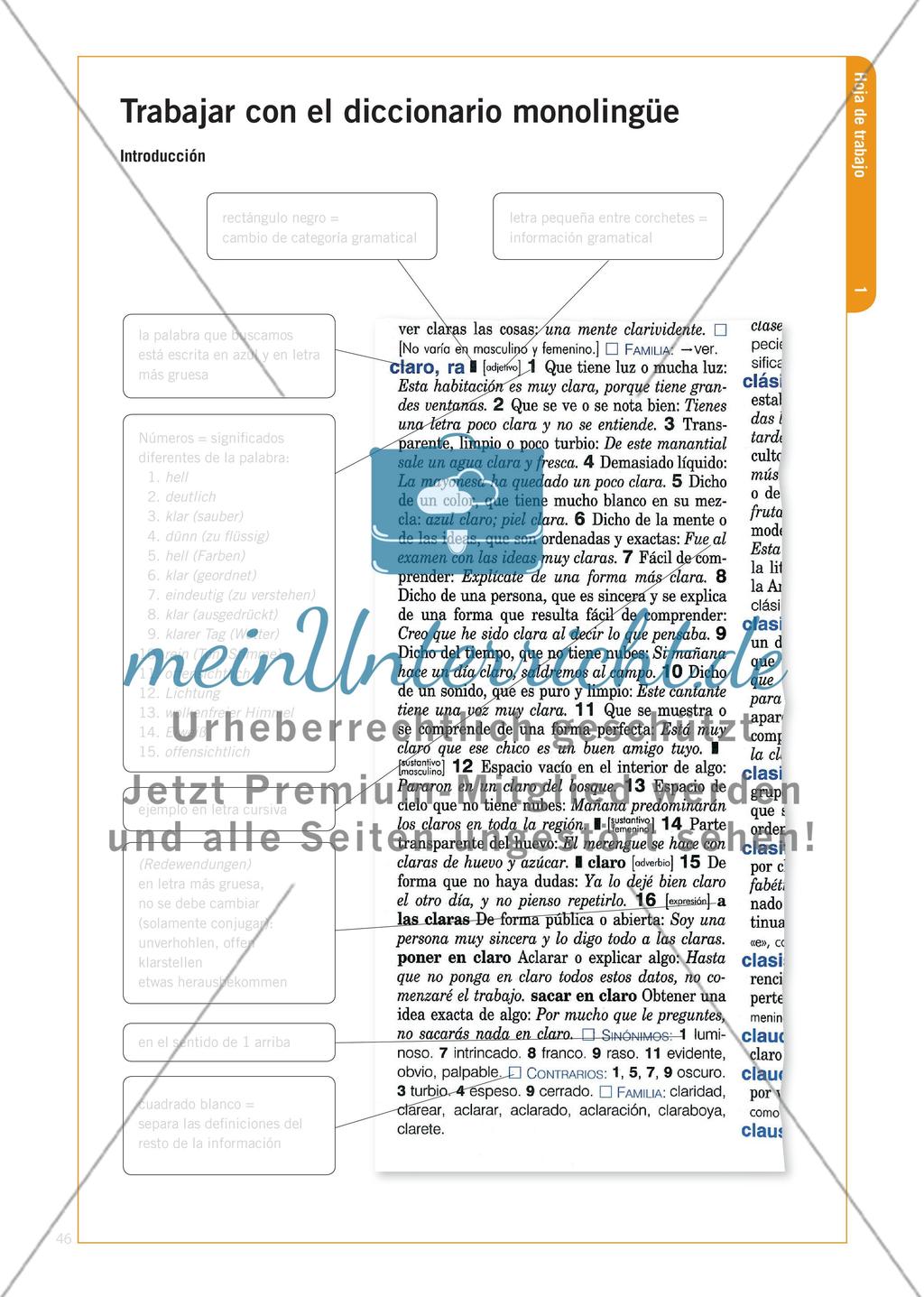 Trabajar con un diccionario monolingüe - Methodenkompetenz zur Nutzung einsprachiger Wörterbücher schulen Preview 5
