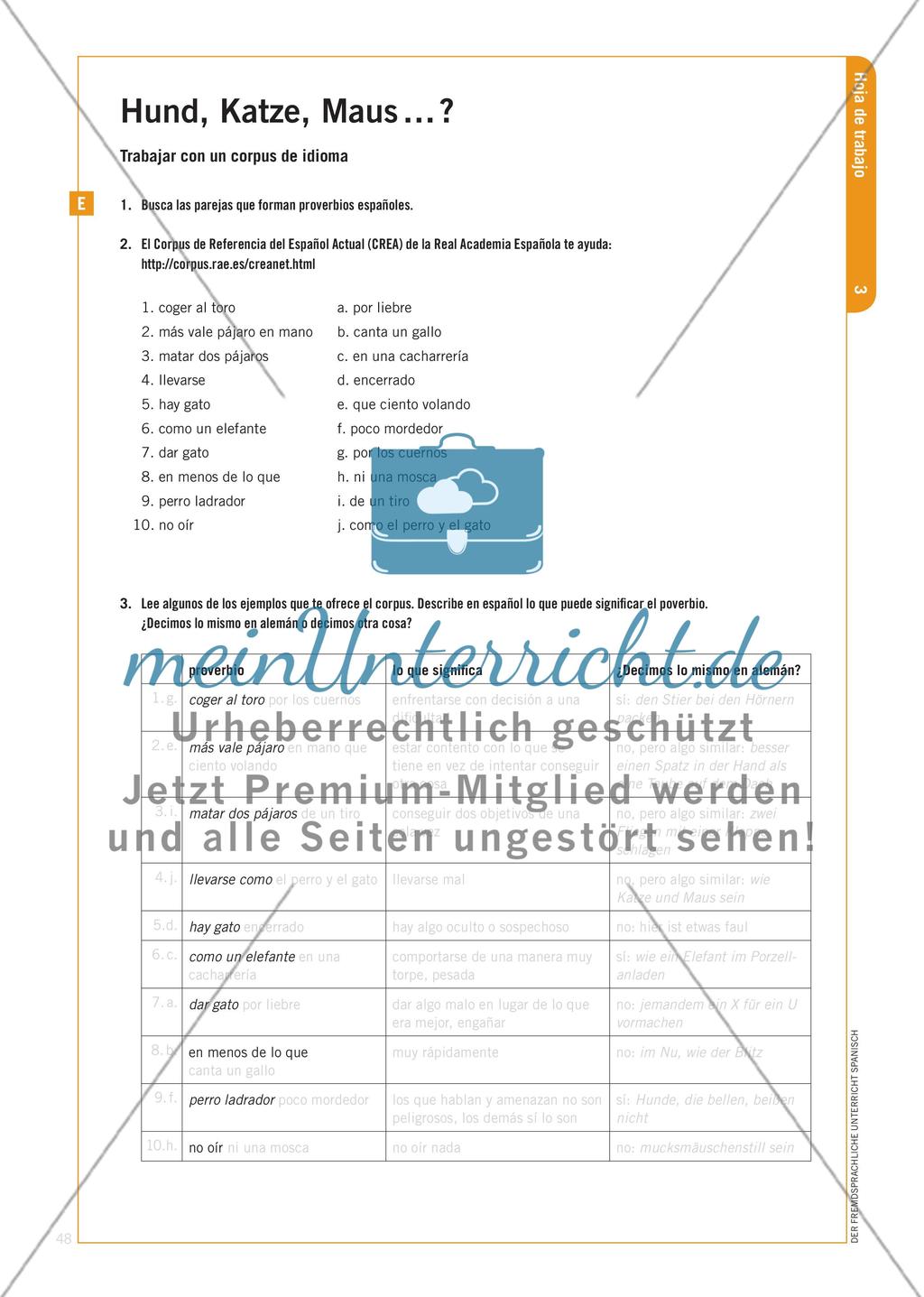 Trabajar con un diccionario monolingüe - Methodenkompetenz zur Nutzung einsprachiger Wörterbücher schulen Preview 7