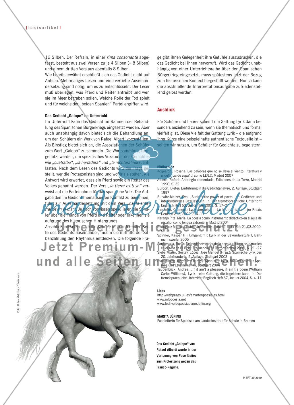 Lyrik im Spanischunterricht Preview 5