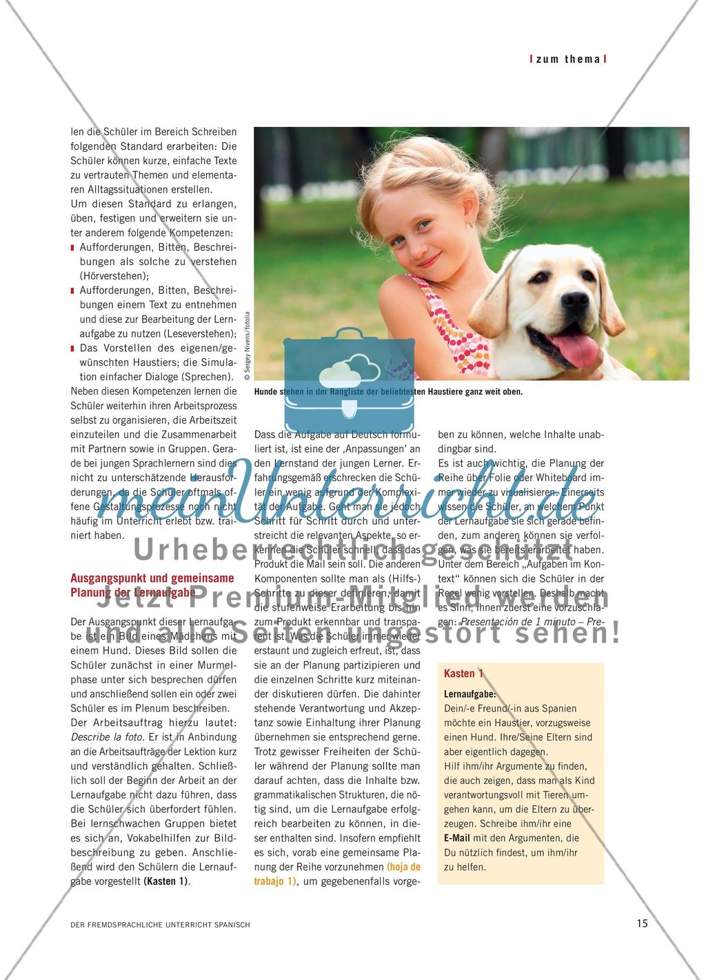 «Quiero tener una mascota, pero mis padres no» - Eine Lernaufgabe für junge Spanischlerner Preview 2