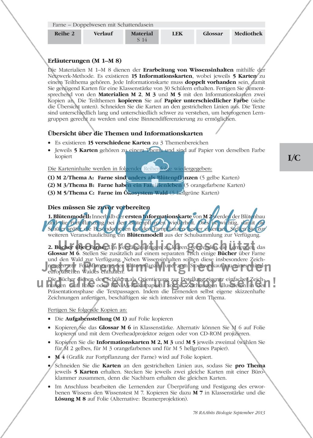 Wichtige Informationen zum Thema „Farne“ erarbeiten Preview 12