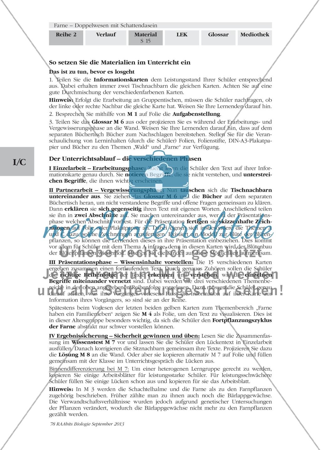 Wichtige Informationen zum Thema „Farne“ erarbeiten Preview 13