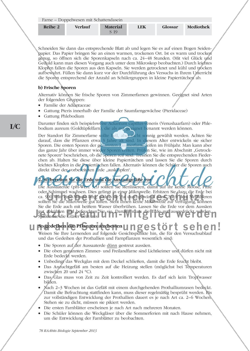 Wichtige Informationen zum Thema „Farne“ erarbeiten Preview 17