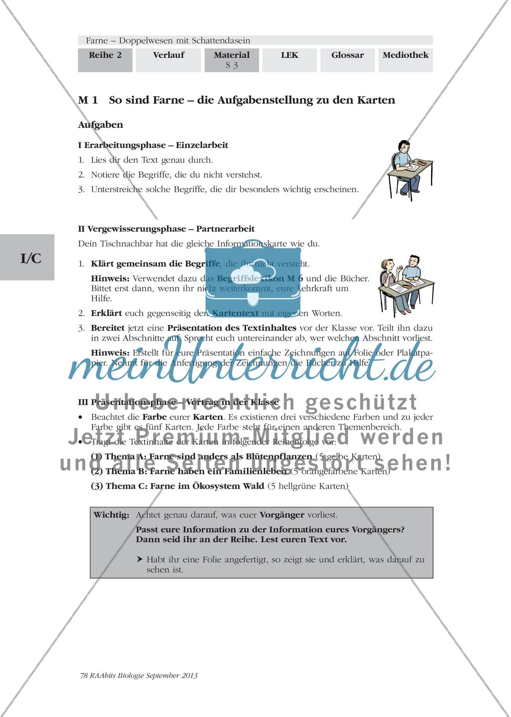 Wichtige Informationen zum Thema „Farne“ erarbeiten Preview 1