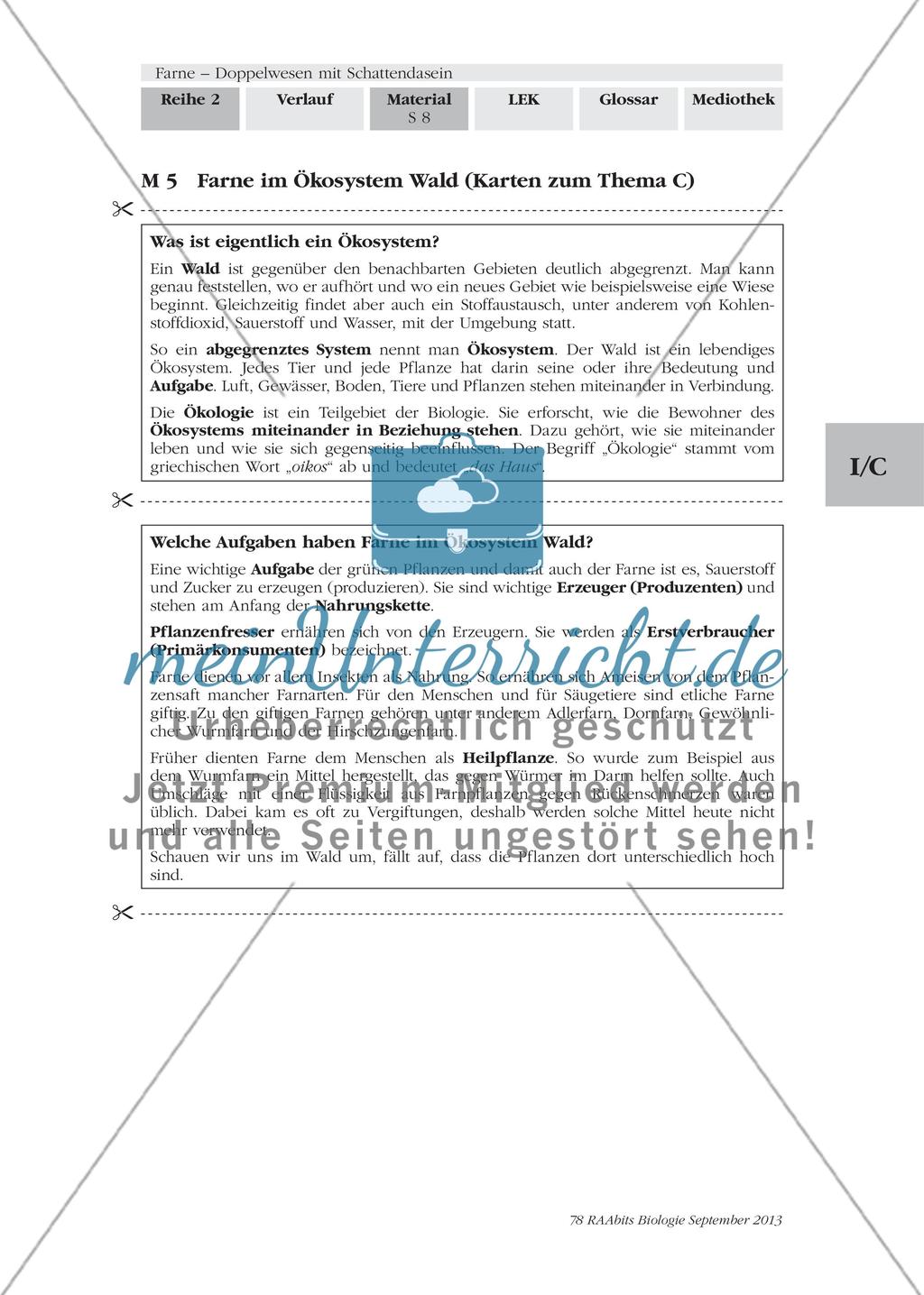 Wichtige Informationen zum Thema „Farne“ erarbeiten Preview 6