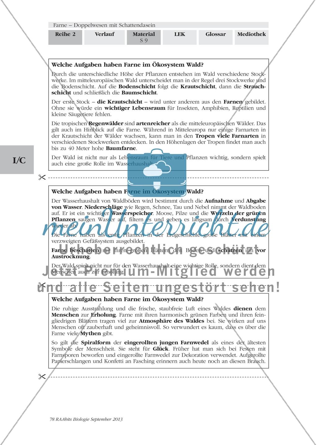 Wichtige Informationen zum Thema „Farne“ erarbeiten Preview 7