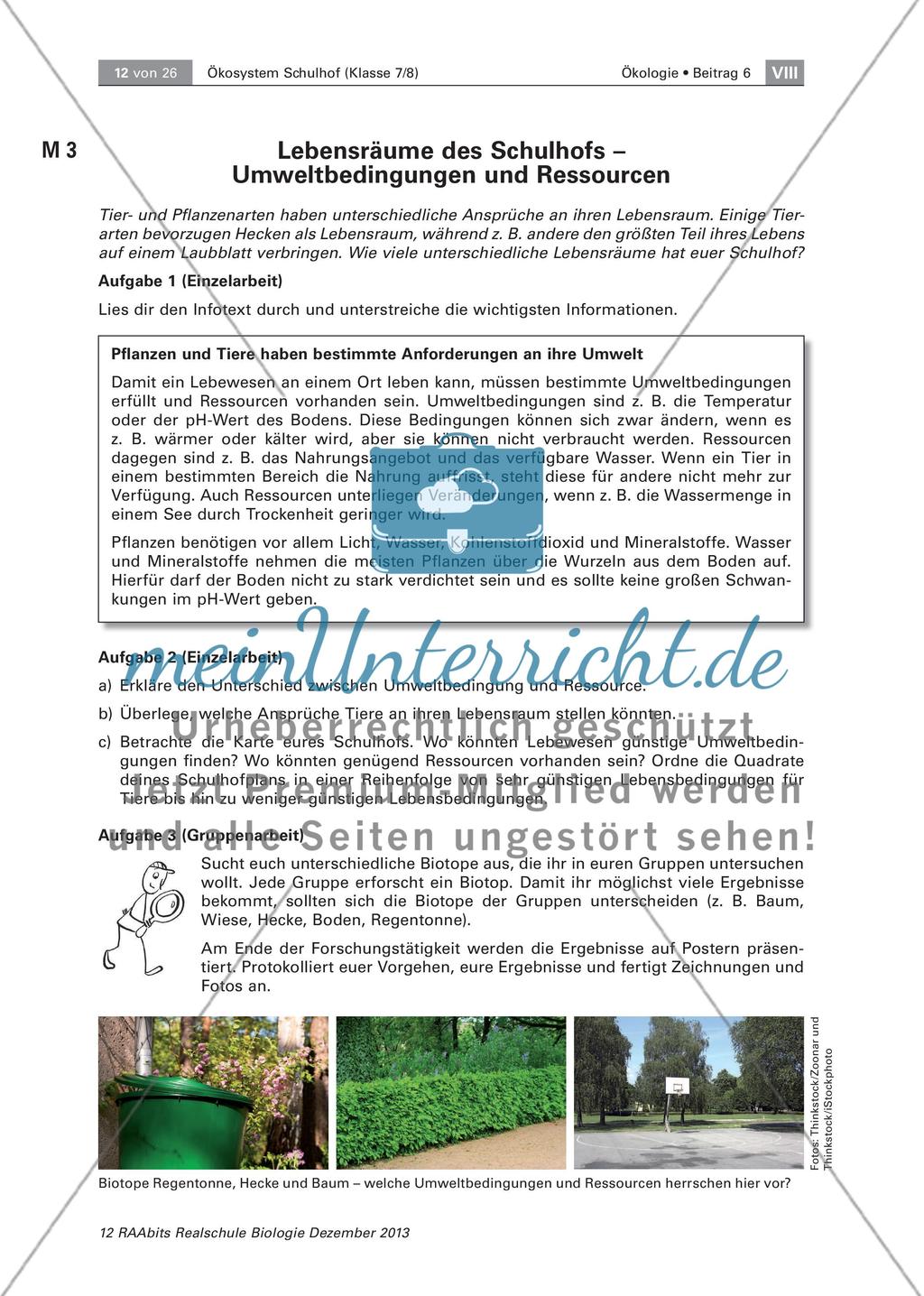 Ein Ökosystem unter der Lupe – unser Schulhof Preview 12