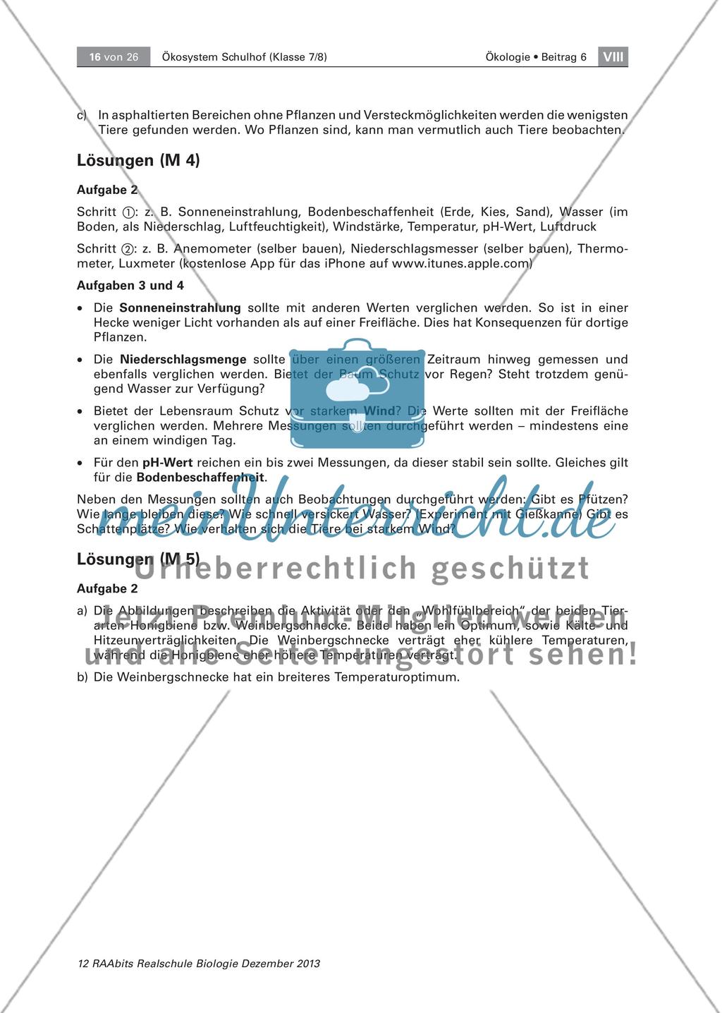 Ein Ökosystem unter der Lupe – unser Schulhof Preview 16