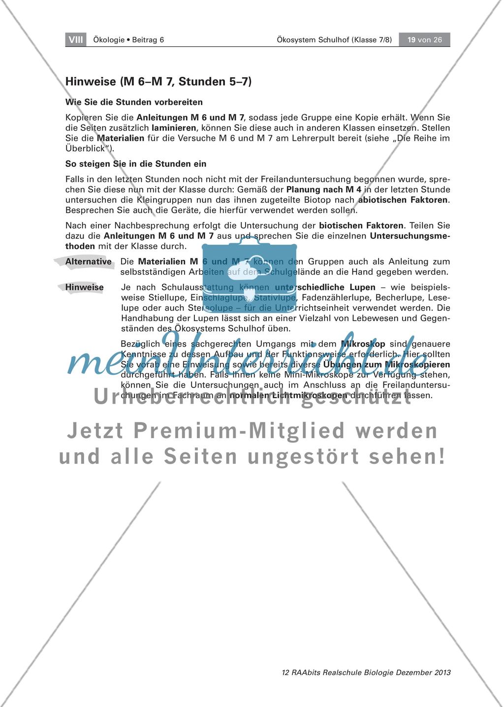 Ein Ökosystem unter der Lupe – unser Schulhof Preview 19