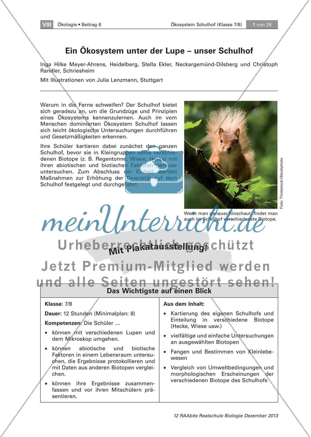 Ein Ökosystem unter der Lupe – unser Schulhof Preview 1