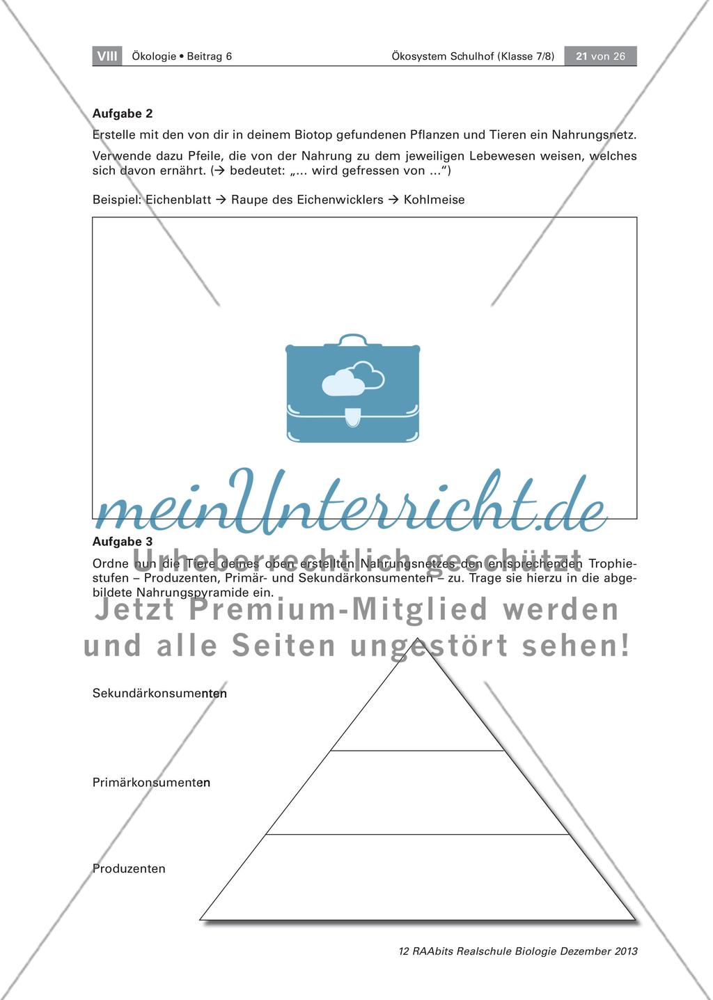 Ein Ökosystem unter der Lupe – unser Schulhof Preview 21