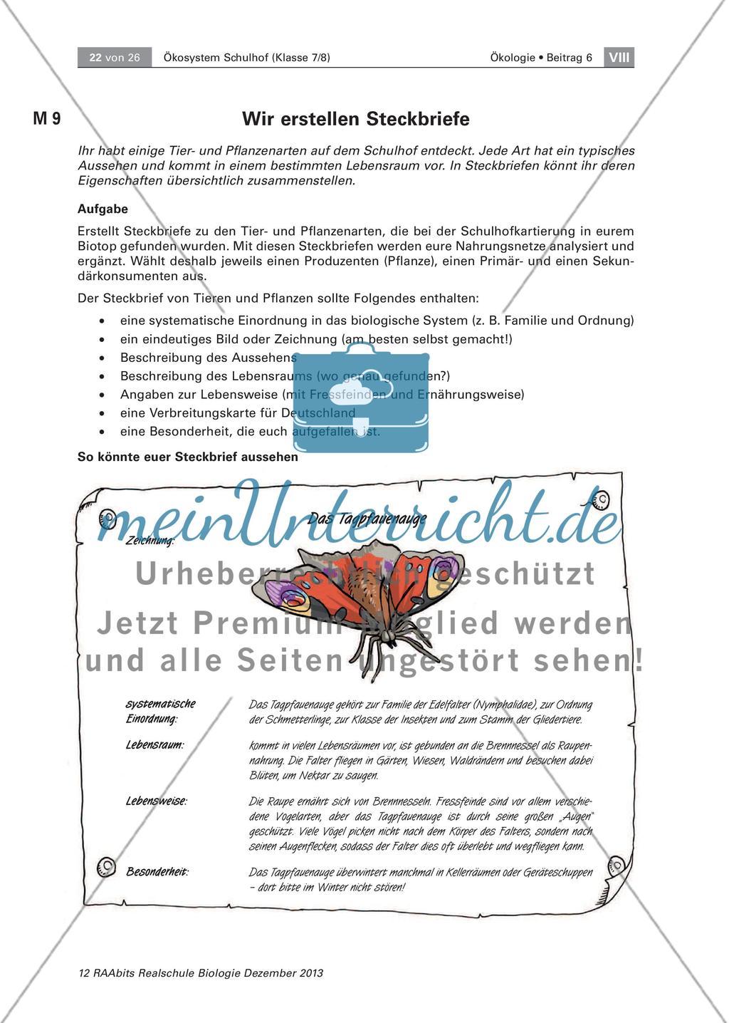 Ein Ökosystem unter der Lupe – unser Schulhof Preview 22