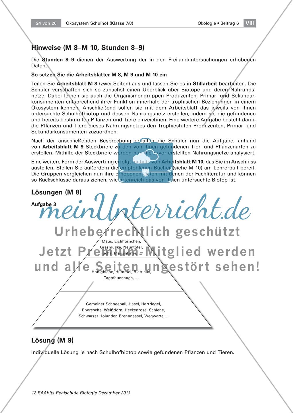 Ein Ökosystem unter der Lupe – unser Schulhof Preview 24