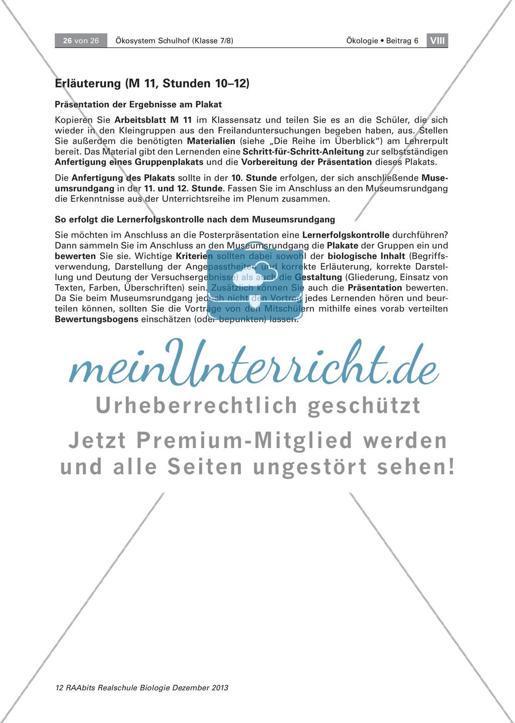 Ein Ökosystem unter der Lupe – unser Schulhof Preview 26